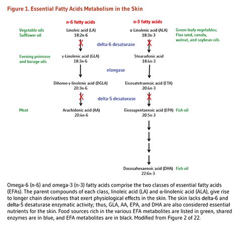 omega 6 for skin|fatty acids and skin health.